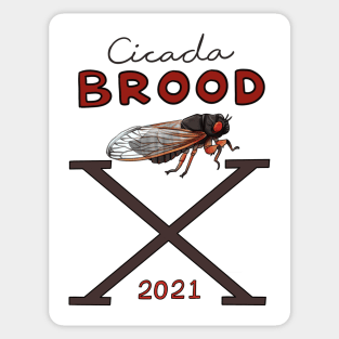 Cicada Brood X Sticker